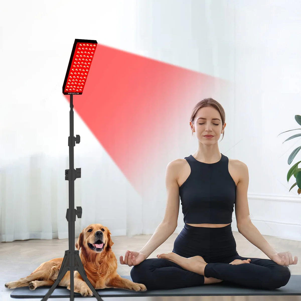 Femme en position de méditation à côté de son chien, utilisant le panneau de thérapie par lumière rouge pour la relaxation.