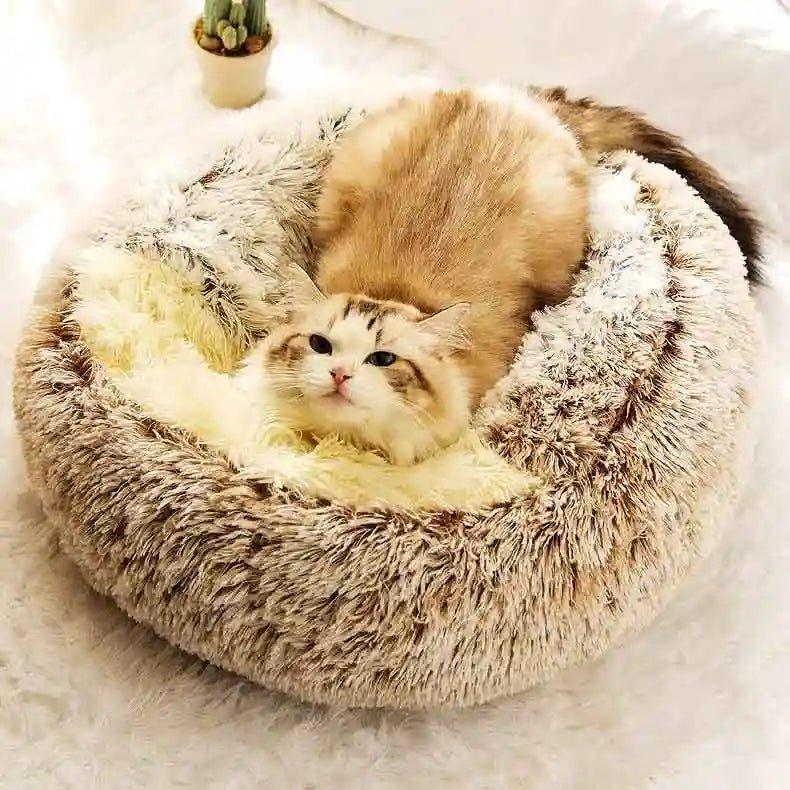 Coussin Anti - Stress Chat - Design & Confort - Mon - Coussin