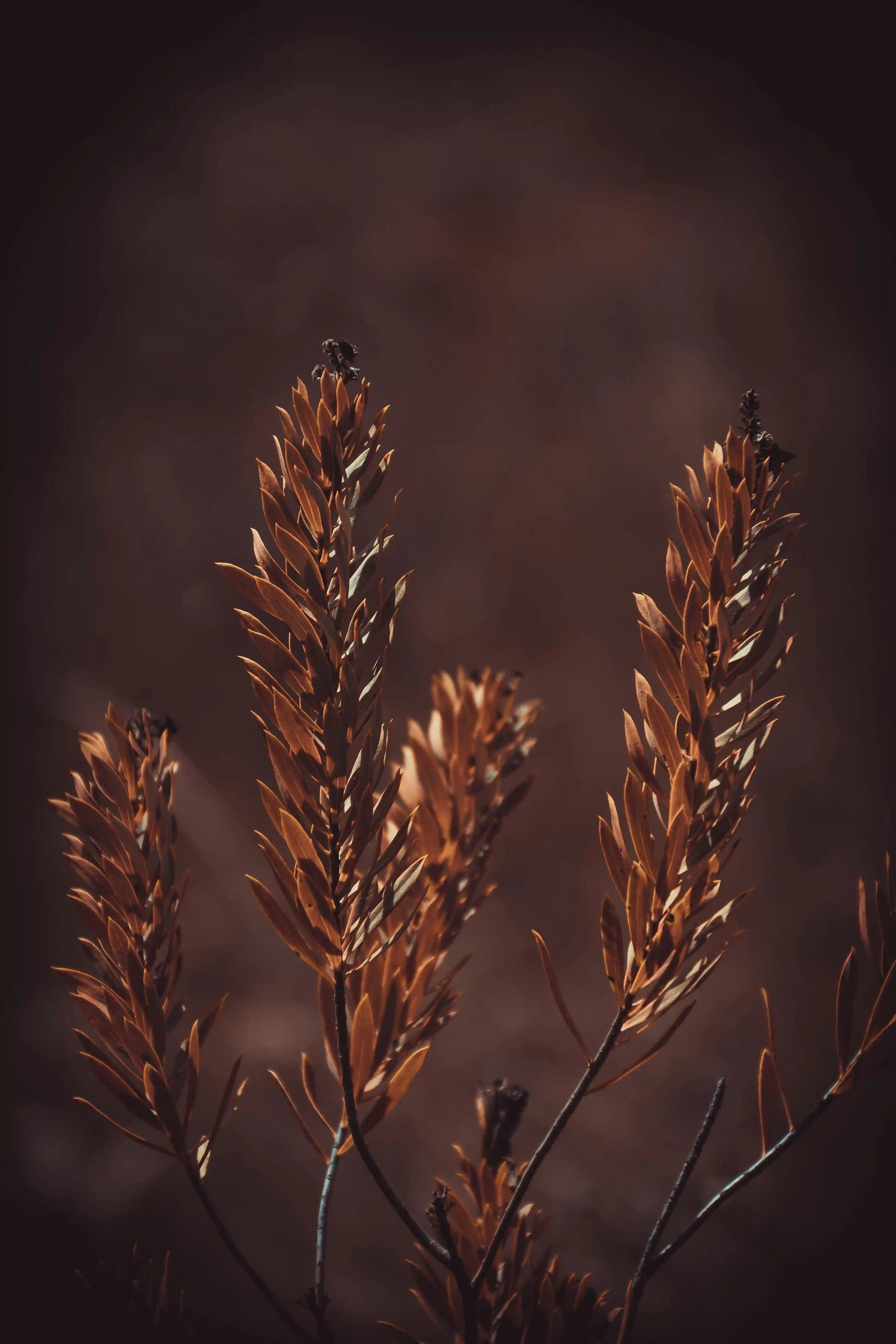 Soulager l'Arthrose au Quotidien 