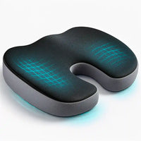 Coussin Incliné de Conduite - ErgoDrive™