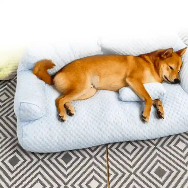 Chien reposant sur Panier Orthopédique pour Chien après promenade