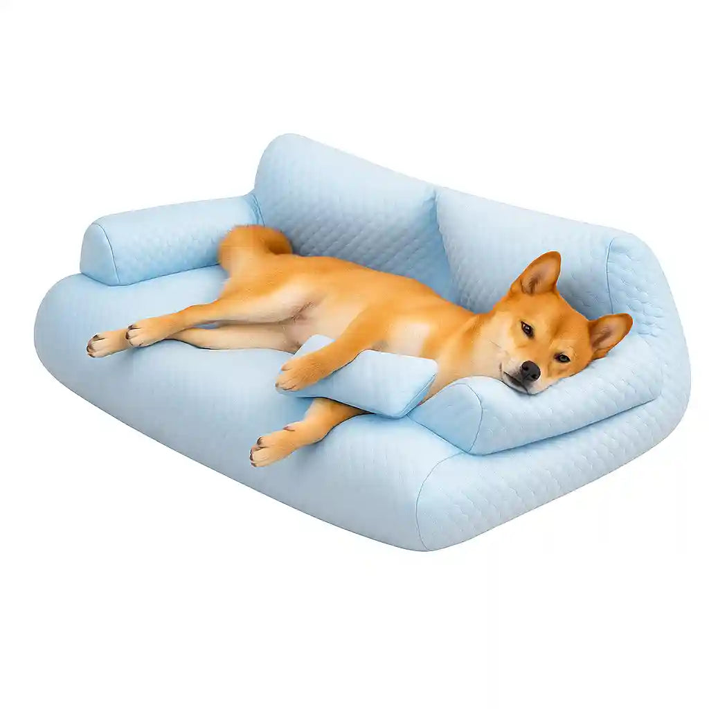 Panier Orthopédique pour Chien avec chien allongé confortablement