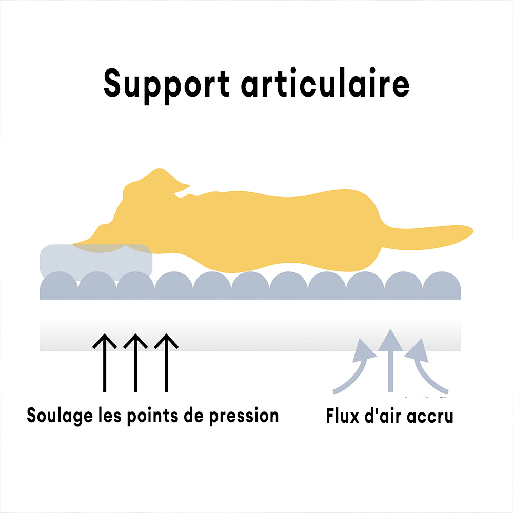 Coussin Canapé Chien: Support Articulaire Premium avec Design Côtelé Élégant - Mon - Coussin – Boutique Française de Coussins Orthopédiques, de Lecture et pour Animaux