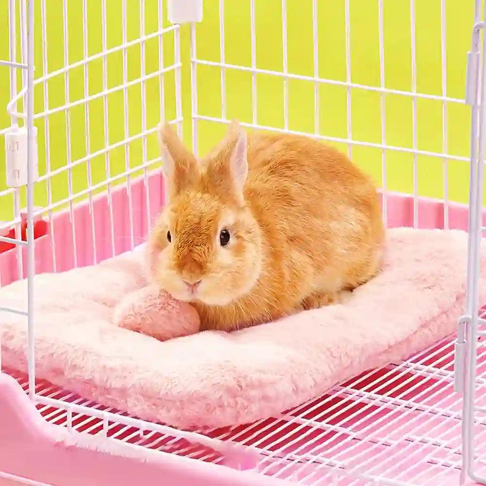 Coussin Pour Lapin Premium : Confort Douillet et Design Élégant - Mon - Coussin – Boutique Française de Coussins Orthopédiques, de Lecture et pour Animaux