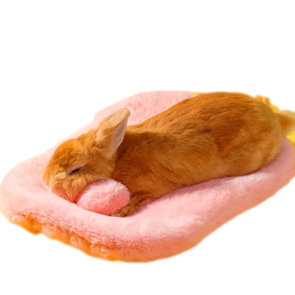 Coussin Pour Lapin Premium : Confort Douillet et Design Élégant - Mon - Coussin – Boutique Française de Coussins Orthopédiques, de Lecture et pour Animaux