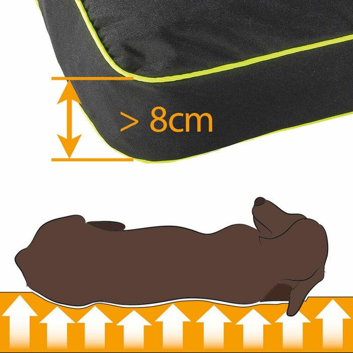 Indestructible Large Dog Bed - Premium Comfort and Exceptional Durability